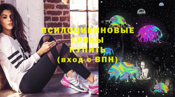 марки lsd Заводоуковск
