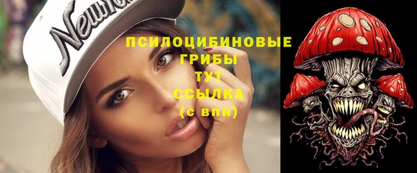 МДМА Лабытнанги