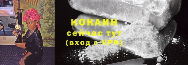 гашик Магас